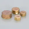 1/2 3/4 "de 1 polegada fêmea feminina feminina de bronze hex head tap plug de tampa de tampa rápida conector ght brass universal adaptador