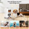 3.5L Automatisk husdjursmatare för katter WiFi Smart Swirl Slow Dog Feeder med röstinspelare stor kapacitet Timing Cat Food Dispenser 240408