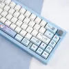 Accessori 131Keys a 5 lati coloranti sottentito PBT keycap set Stupt 61/64/68/78/84/87/96/98/104/108 PBT Cute Shark per MX Switch Mechanical Tastiera