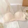 Bras Summer Bras för kvinnor Sömlösa kvinnors underkläder Push Up Lingerie Wire Free Thin S-XL Size BRALETTE Dropshipping 240410