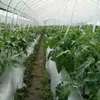 5m ~ 40 m 0,02 mm ogród srebrzysty czarny film refleksyjny sad sadzenia szklarni szklarniowo -szklarnia z tworzywa