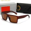 Nouvelle marque classique Wayfarer Luxury Square Sunglasses Men Femmes Femmes Cadre d'acétate avec des verres en verre de rayons Sun pour mâles UV400 TortoiseShell Co 3DS4