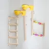 Other Bird Supplies Parrot Ladder Swing Standing Platform Toy Wood Playground Stand Accessories For Parakeet Macaw Cockatoo Suction Cup