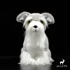 Cine Lifele -Ceca Terrier Doll Shiba Inu Collie Samoyed Model Miniatura Miniatura SCHNAUZER DOG PLUSH giocattoli