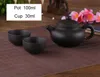 Yixing Purple Clay Small Tea Set comprend 1 Pot 2 tasses, Xishi Pot Tea Cérémonie, Zisha Ceramic Pottery Teaching, China Kung Fu Tea Sett