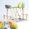 Pet Bird Toy Activity Center Cage står med Perch Ladder Hammock Feeder Playground för Cockatiel Parrot