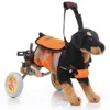 Adjustable Dog Wheelchair, Pet Rehabilitation, Walking Aid Vehicle, Walk Cart, Scooter Weak Disabled