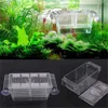 Transparente Aquarium -Fischtank -Doppelzüchter -Züchterinerhöckchen Hatcheries Fisch aquatische Haustierversorgung
