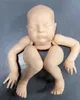 NPK pronto para enviar 20 polegadas Laura Reborn Doll Kit Peças inacabadas de bonecas DIY com cor de pano de cor fresca