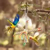 Andra fågelförsörjningar Färgglada stativ papegoja Budgie Parakeet Birdcage Tugga leksak hängande burtillbehör för cockatiel -spelning