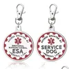 Dog Tag Id Card Tag 2Pcs Service Tags Stainless Steel Engraved Nameplate Emotional Support Animal Esa Id Collar Accessories Drop Del Dh3Pc