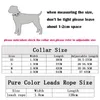 Flores Pet Dog Collar correa PU Cat Collier Collier Camina Correa para un pequeño animal grande Animal Teddy Chihuahua Pug Fashion