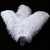 10pcs / lot 10-12 pouces Plumes à autruche moelleuse Plume pure plume blanc pour artisanat autruche panaches de mariage décoration de fête de mariage