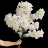 5pcs ilk bougainvillea glabra стебли искусственные искусственные бугринвилеа