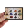 12 / 15pcs 1 boîte spécimen minéral naturel cadeau Gemystones bruts échantillons à collectionner