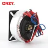 100W AC220V/230V/110V Toroidal Transformatör Çift 28V Çift 12V Çift 24V Güç Adaptörü DAC Preampikatörü Toroidal Transformatör