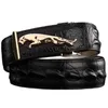 Ceintures Crocodile Alligator Belt for Men Luxury Strap Automatic Buckle Cowle Coue Geuthesine 2020 Designer de haute qualité Fashionc240410