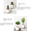 Small White Ceramic Planter Mini Flower Containers Indoor with Drainage Hole for Succulents or Cactus -Large/Small Au19 21