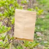 Kraft Paper Seed Welves Pacchetti Whinves Wake Garden Caricamento per pianta frutta sacchetto di carta kraft cibo tè piccolo regalo