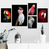 Canvas de cacatua branca pintando animal australiano Animal Red Parrot Animal Poster Impressão da parede moderna Arte de pássaro Picture Sala Decoração