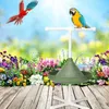 Parrot Stand Bird Toy Portable Perch and Training Feeder and Bathtub Tool Light Weight Bird Stand Safe Sturdy Tool Bird cage Toy