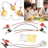 Biologia de frutas de batata gerar energia de eletricidade Experimento Toys educacionais para crianças Kit de tronco elétrico da escola