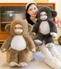 Da Ming Xi Plush Toy Gorilla Doll Doll 2024 NUEVO Regalo de cumpleaños para niños Muñeco