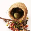 Bird Nest Parakeet avelshest Garden Birdhouse häckar Hut Box Parrot avel Dekorativa burar Pet Tillbehör
