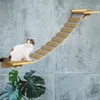 Cat pour animaux de compagnie mural escalier mural chat grattant post arbre chat sisal et échelles en bois massif chaton meubles suspendus