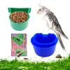 Nowe akcesoria dla ptaków dla Partów Klatka Parrot Karmienia żywności Małe zwierzęta zapasy karmienia miska kolibra dozownik wodny zielony i niebieski