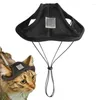 Chapéu de viseira de vestuário para cães com orifícios de orelha Caps de beisebol de esportes ao ar livre Proteção solar Round Brim Buck Pequeno gatos grandes grandes