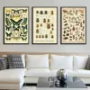 Variedade antiga de besouro vintage de insetos, gráfico científico Beetle Bees Art Canvas Pintura Poster Decoração da casa Obrazy Plakat