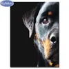 Bordado completo, quadrado, diamante, Rotweiler, Diy Diamond Painting Pet, 3D, ponto cruz, mosaico de diamante, padrão, adesivos de decoração de casa