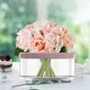 Vases Flower Arrangement Stand Acrylic Spiral Ikebana Stem Holder Vase For Diy Arrangements Bouquets Floral