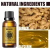 Eelhoe olejek eteryczny Naturalny ginger olej limfatyczny terapia drenażowa przeciw starzeniu się olejki eteryczne do odchudzania ciała