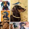 5d DIY Diamond Painting Professeur Dckhund Diamond broderie Couleur de animaux de compagnie mignons Chien Full Force carré strass de mosaïque Image