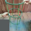 1/4st Garden Plant Support Plie Flowers Vine Stand Holder Green Plant Support Stake Hushållens trädgårdsskötsel Bonsai Tool