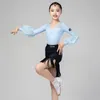 메쉬 볼룸 댄스 탑스 여자 현대 댄스웨어 라틴 연습웨어 스테이지 의상 살사 의류 탱고 댄스 의상 JL4122