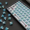 Keyboards Tomsb Iceberg -Tastaturschalter 3Pin Linear MX Game Switch Niederdruck Customized Switches für DIY -mechanische Tastatur