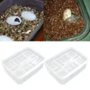 Reptile Egg Tray Snake Lizard Egg Hatching Incubator Box Gecko Dedicated Hatcher Device Tortoise Turtle Incubator Supplies