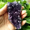 80-100g Natural Brésilien Brésilien Amethyst Stone Quartz Cluster Cluster Druzy Geode guérison Spécimens de roche minérale Ornement décor