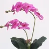 60 cm 2 grenar Artificial Flower Phalaenopsis Real Touch Orchid med blad Fake Flower Futterfly Potted Plants Home Decoration