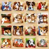 Kits de alfombra de gancho de gancho de la serie de animales perros 3D segmento bordado almohada de lana de lana transversal alfombra bordado bordado almohada de gancho de pestillo