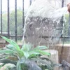 Boyutu 0.3mm Kırktı Şeffaf PVC TARPAULIN YAĞIM TARP Süper perspektif su geçirmez balkon kapağı bitki yağmur geçirmez
