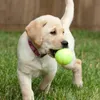 Welkin New 63 mm Pet Dog Puppy Tennis Ball Thrower Chucker Launcher Play Toy Supplies Sports en plein air avec conception de caoutchouc pour animaux de compagnie