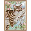 Urocze kotka Seria Animal Wzór DMC Cross Cross Set Fanvas Fabric 14ct 11ct Chinese Cross Stitch Kit DIY Iglework