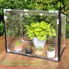 Mini Plants Greenhouse Indoor Buiten Flowerpot Cover Shelter Transparant Soft Glass Film Gas voor tuinplanten