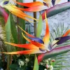 Sunmade Luxury Grand Bird Of Paradise Fleurs artificielles Décor de salon Decor Flower Arrangement DIY MARIAGE FORES DÉCOR