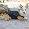 Hundebekleidung Stütze Kabelbaum atmungsaktivem Mesh Design Disc Protection Weste für das Training von Gehen Genesung einstellbar