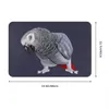 Salle de bain Mat Africain Grey Parrot Doormat Cuisine Carpet Entrance Porte de porte Home Decor